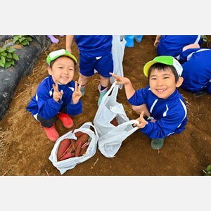 さつま芋掘り